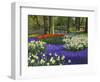 Tulips in Keukenhof Gardens, Amsterdam, Netherlands-Keren Su-Framed Photographic Print