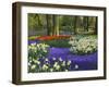 Tulips in Keukenhof Gardens, Amsterdam, Netherlands-Keren Su-Framed Photographic Print