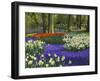 Tulips in Keukenhof Gardens, Amsterdam, Netherlands-Keren Su-Framed Photographic Print