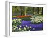 Tulips in Keukenhof Gardens, Amsterdam, Netherlands-Keren Su-Framed Photographic Print