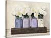 Tulips in Mason Jars-Jenny Thomlinson-Stretched Canvas