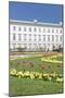 Tulips in Mirabell Garden-Markus Lange-Mounted Photographic Print