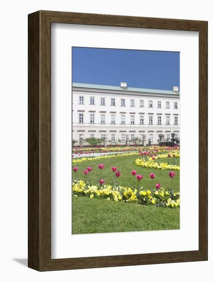 Tulips in Mirabell Garden-Markus Lange-Framed Photographic Print