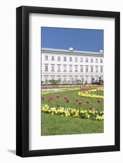 Tulips in Mirabell Garden-Markus Lange-Framed Photographic Print