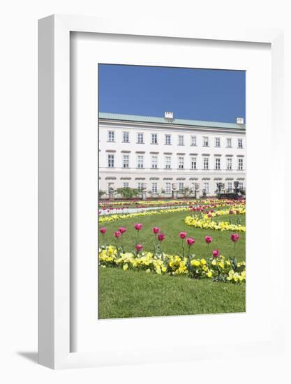 Tulips in Mirabell Garden-Markus Lange-Framed Photographic Print