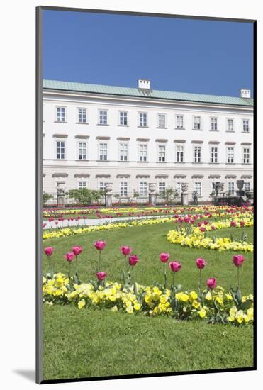 Tulips in Mirabell Garden-Markus Lange-Mounted Photographic Print