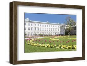 Tulips in Mirabell Garden-Markus Lange-Framed Photographic Print