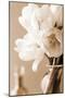 Tulips in Sepia-Christine Zalewski-Mounted Premium Giclee Print