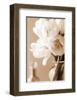 Tulips in Sepia-Christine Zalewski-Framed Art Print