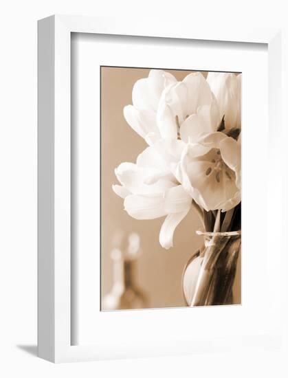 Tulips in Sepia-Christine Zalewski-Framed Art Print