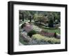 Tulips in the Butchart Gardens, Vancouver Island, Canada, British Columbia, North America-Alison Wright-Framed Photographic Print