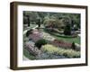 Tulips in the Butchart Gardens, Vancouver Island, Canada, British Columbia, North America-Alison Wright-Framed Photographic Print