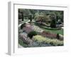 Tulips in the Butchart Gardens, Vancouver Island, Canada, British Columbia, North America-Alison Wright-Framed Photographic Print
