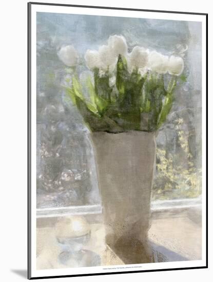 Tulips in the Sun-Noah Bay-Mounted Art Print