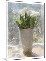 Tulips in the Sun-Noah Bay-Mounted Art Print