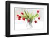 Tulips in Winter-Judy Stalus-Framed Premium Giclee Print