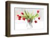 Tulips in Winter-Judy Stalus-Framed Premium Giclee Print