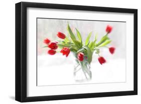 Tulips in Winter-Judy Stalus-Framed Art Print