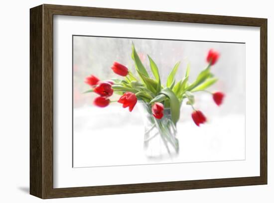 Tulips in Winter-Judy Stalus-Framed Art Print