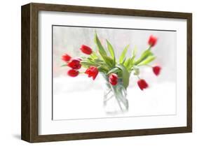 Tulips in Winter-Judy Stalus-Framed Art Print