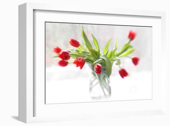 Tulips in Winter-Judy Stalus-Framed Art Print