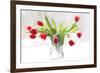 Tulips in Winter-Judy Stalus-Framed Art Print