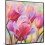 Tulips in Wonderland I-Cynthia Ann-Mounted Giclee Print