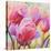 Tulips in Wonderland I-Cynthia Ann-Stretched Canvas