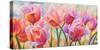 Tulips in Wonderland-Cynthia Ann-Stretched Canvas