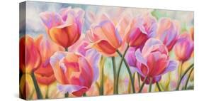 Tulips in Wonderland-Cynthia Ann-Stretched Canvas