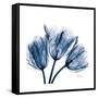 Tulips Indigo-Albert Koetsier-Framed Stretched Canvas