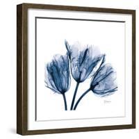 Tulips Indigo-Albert Koetsier-Framed Premium Giclee Print