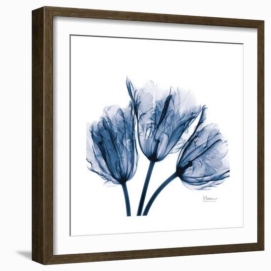 Tulips Indigo-Albert Koetsier-Framed Premium Giclee Print