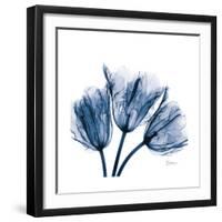 Tulips Indigo-Albert Koetsier-Framed Premium Giclee Print