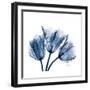 Tulips Indigo-Albert Koetsier-Framed Premium Giclee Print