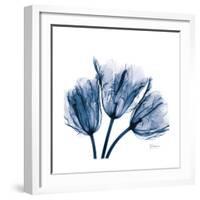 Tulips Indigo-Albert Koetsier-Framed Premium Giclee Print