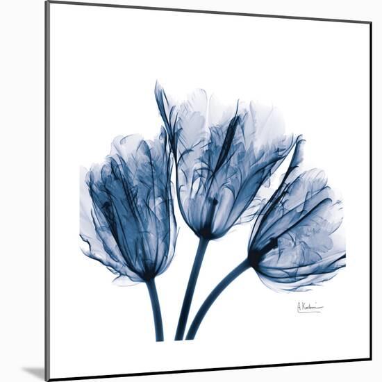 Tulips Indigo-Albert Koetsier-Mounted Premium Giclee Print