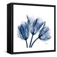 Tulips Indigo-Albert Koetsier-Framed Stretched Canvas