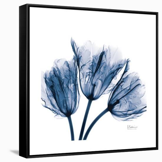 Tulips Indigo-Albert Koetsier-Framed Stretched Canvas