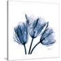 Tulips Indigo-Albert Koetsier-Stretched Canvas