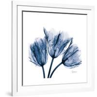 Tulips Indigo-Albert Koetsier-Framed Premium Giclee Print