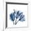 Tulips Indigo-Albert Koetsier-Framed Premium Giclee Print