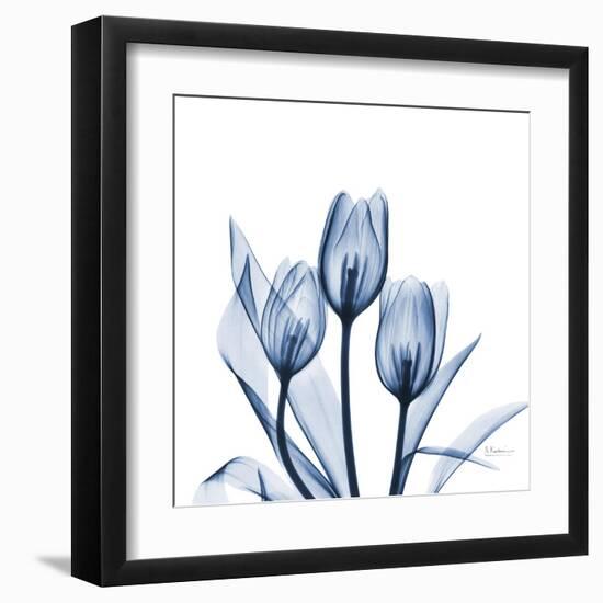 Tulips Indigo-Albert Koetsier-Framed Art Print