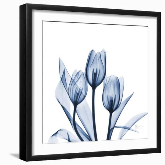 Tulips Indigo-Albert Koetsier-Framed Art Print