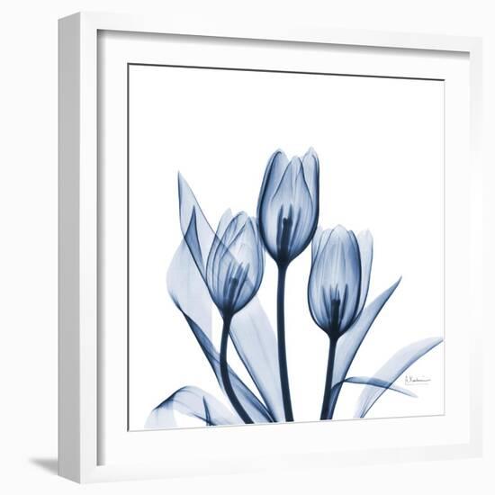 Tulips Indigo-Albert Koetsier-Framed Art Print