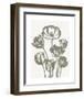 Tulips (Ivory & Burlap)-Botanical Series-Framed Art Print