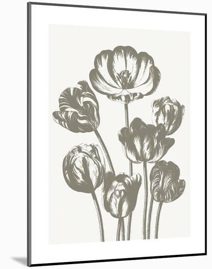 Tulips (Ivory & Burlap)-Botanical Series-Mounted Art Print