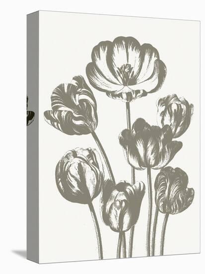 Tulips (Ivory & Burlap)-Botanical Series-Stretched Canvas