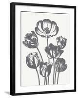 Tulips (Ivory & Gray)-Botanical Series-Framed Art Print