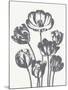 Tulips (Ivory & Gray)-Botanical Series-Mounted Art Print